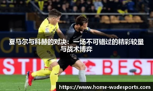 betvictor伟德